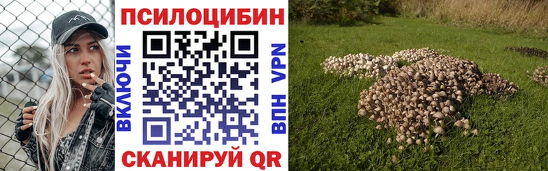 Галлюциногенные грибы GOLDEN TEACHER  Петров Вал 